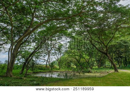 Deep Rain Forest In Khao Samroiyod National Park Prachubkirikhun Frome Thailand