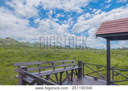 Tower In Mangrove Forest At Pranburi Forest National Park, Prachuap Khiri Khan, Thailand