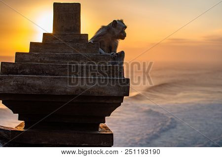 Sunset At Uluwatu Temple In Southern Bali. Monkey Look To Indian Ocean