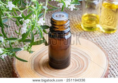 A Bottle Of Mountain Savory Essential Oil With Fresh Blooming Satureja Montana In The Background