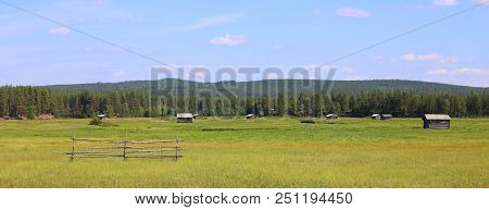 Svansele Dammaenger, A Former Water-meadow In Sweden. It Is Now A Nature Reserve