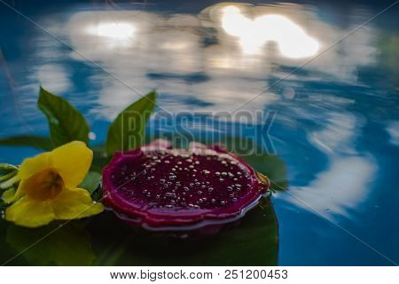 Exotic Dragon Fruit Dropped Into Water Isolated On White.