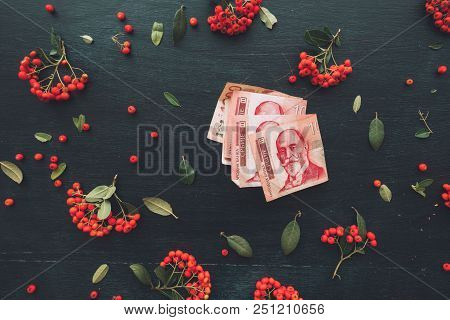 Flat Lay Serbian Currency Thousand Dinars Banknote, Top View Of Decorative Arrangement With Wild Ber