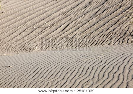 砂丘といくつかの marram 草