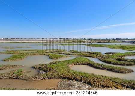 Ile de RÃ© landscape with salt lakes