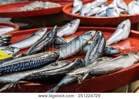 Some Fishes On Red Tray At Fish Monger