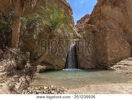 Tunisia, Near The Town Of Towser. The Oasis Of Shebik Is The Most Beautiful Of The Mountain Oases On