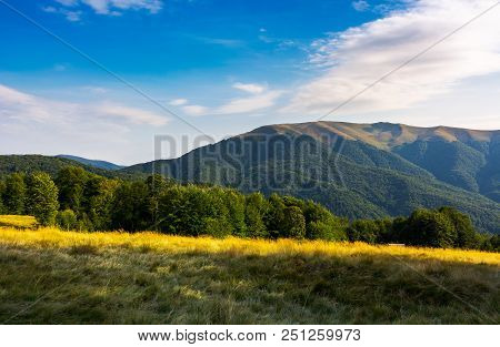 Grassy Meadow And Beech Forest On Hillside. Apetska Mountain In The Distance. Lovely Summer Afternoo
