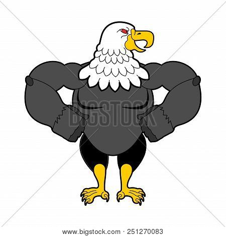 Bald Eagle Strong. Predator Bird. Vector Illustration
