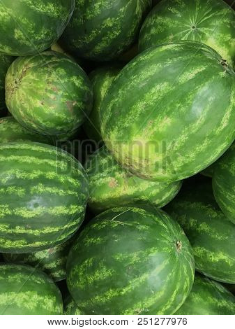 Market Counter With Delisios Watermelons. Fresh Melon In Sun's Rays. Glare On Berries.