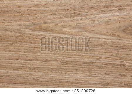 New Oak Venner Texture For Your Effective Individual Design. High Resolution Photo.