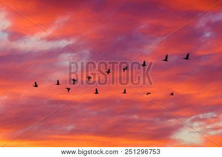 Sillhoutte Of Birds Flying In Formation With Dramatic Clouds At Sunset