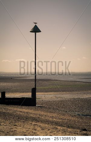 A Bird Sitting On A Post At Chalkwell Beach In Essex, Uk