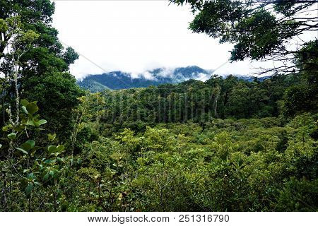 View Over The Cloud Forest In San Gerardo De Dota, Costa Rica