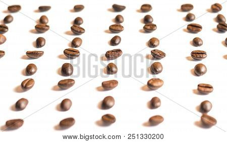 Closeup Coffee Beans Copy Space, White Back Ground