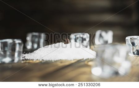 Close Up Coffee Bean On Coffee Sugar, Concept