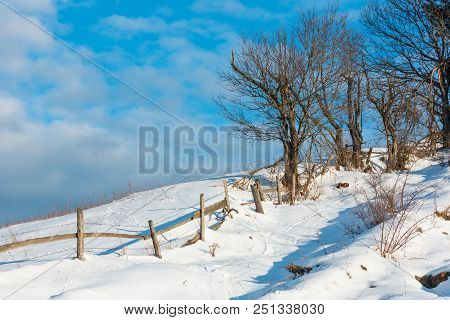 Winter  Morning Scenery Picturesque Mountain Rural Snow Covered Path And Footprint (ukraine, Carpath