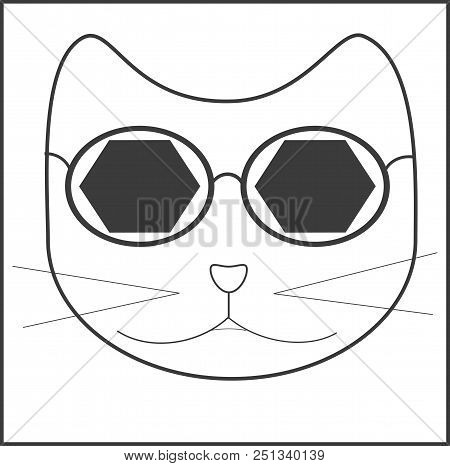 Cat, Accessory, Mustache, Fashion, Accessory, Glasses, Spectacles