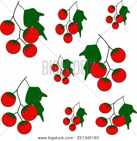 Tomato, Food, Red, Vegetable, Branch, Summer, Set