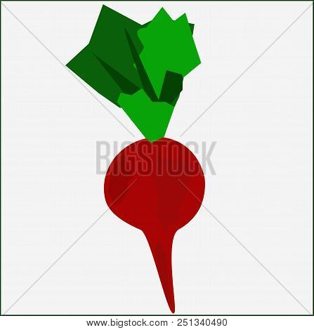 Beet, Vegetable, Vitamine, Food, Beetroot, Beetroot, Leaf