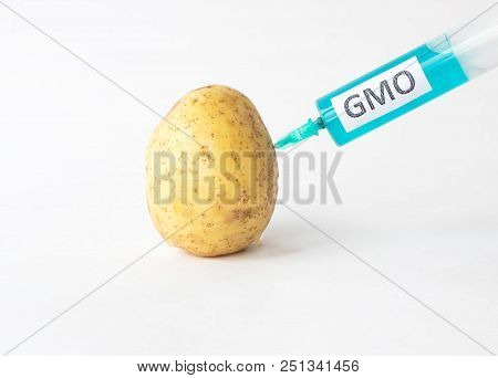 Potatoes On A White Background In Which Of The Syringe To Prick The Gmo And Nitrates, Close-up, Nitr