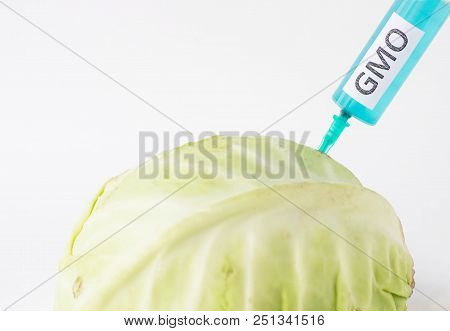 Cabbage On A White Background Into Which Gmo And Nitrates Are Injected From The Syringe, Close-up, C