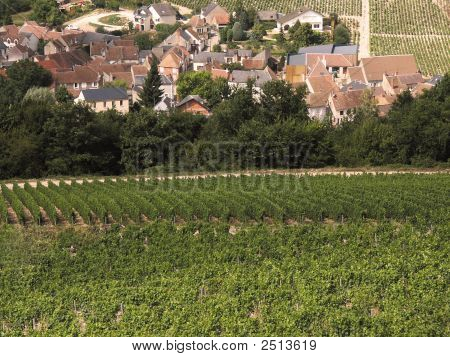 Vignobles