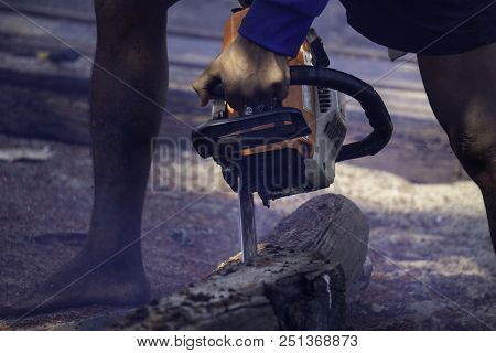 Man Uses Gasoline Engine Portable Chainsaw Cut Timber Into Pieces. Some Parts Of The Man Body Withou