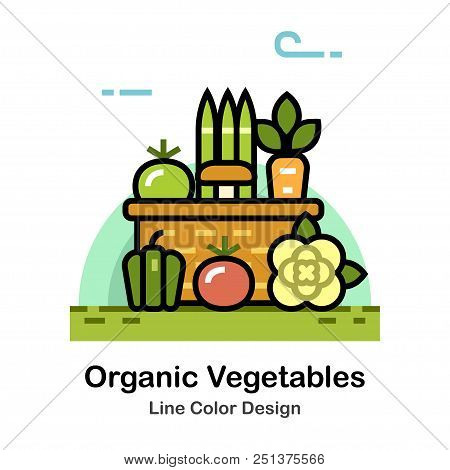 Vegetables In The Basket Line Color Icon