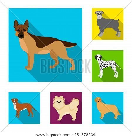 Dog Breeds Flat Icons In Set Collection For Design.dog Pet Vector Symbol Stock  Illustration.