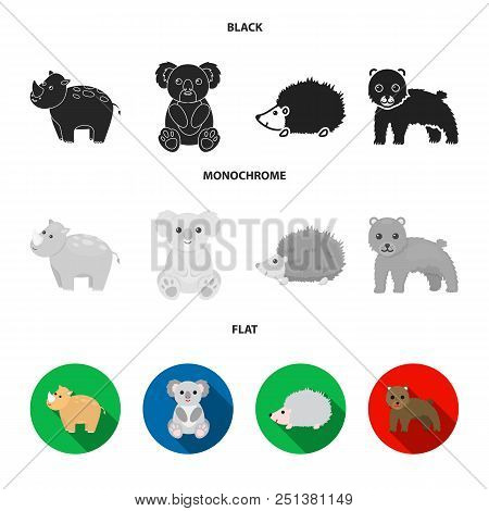 Rhino, Koala, Panther, Hedgehog.animal Set Collection Icons In Black, Flat, Monochrome Style Vector 