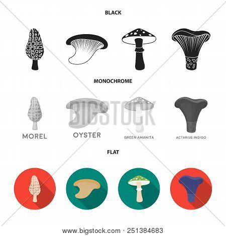 Morel, Oyster, Green Amanita, Actariu , Indigo. Set Collection Icons In Black, Flat, Monochrome Styl