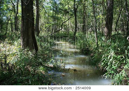 Bewolkt Creek