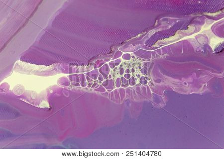 Abstraction Of The Flowing Multi-colored Acrylic Paints