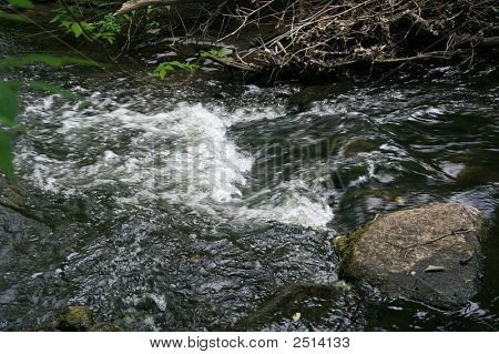 Rapids
