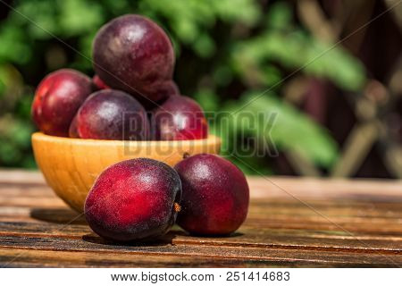 Close Up Fresh Plumcot, Interspecific Plums Variety In Wooden Bowl On Wooden Table. Selective Focus,