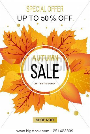 Autumn Sale Vector Banner Template With Frame And Sale Text In Fall Season Leaves Background For Sea