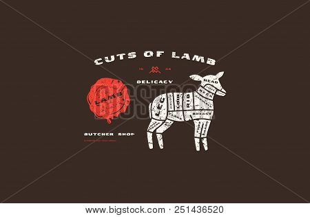 Stock Vector Lamb Cuts Diagram In Flat Style. Design With Rough Texture. Color Print On Black Backgr