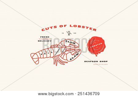 Stock Vector Lobster Cuts Diagram In Thin Line Style. Color Print On White Background