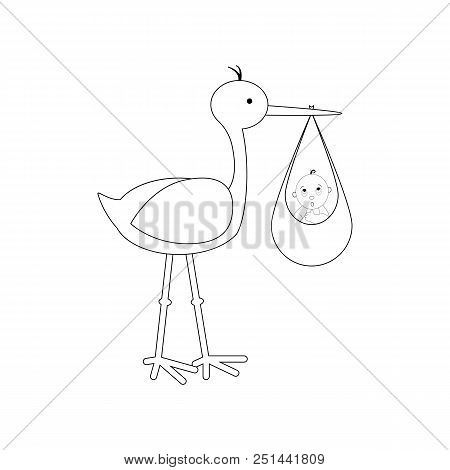 Stork Brought The Baby On The White Background. Vector Illustration