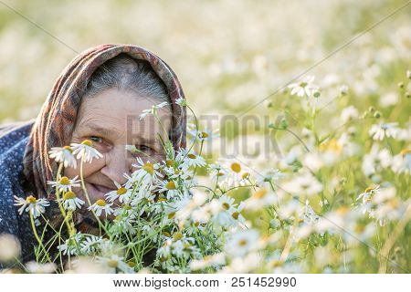 Grandmother, Field, Chamomile And The Concept Of Outdoor Recreation - An Old Lady In A Field With Da
