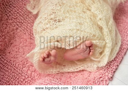 Newborn Baby Feet Wrapped In Wool Blanket. Close Up. Pink Woolean Towel.