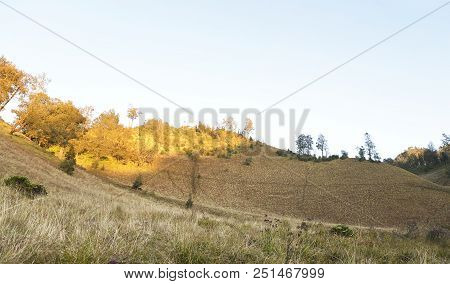 Hill With Sunlight On Oro Oro Ombo In Semeru Mount. Malang, Indonesia