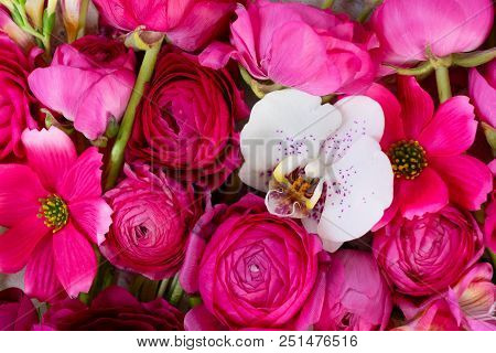 Flowers Composition. Floral Natural Background Made Of Rununculus And Orchid Flowers Flowers.