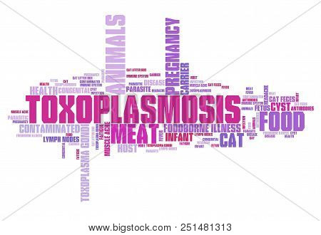 Toxoplasmosis - Parasitic Disease. Health Care Issue. Word Cloud Sign.