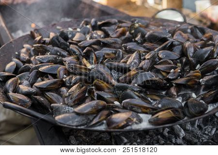 Fresh Mussels At Grill Pan. Seafood Barbecue Outdoors. Picnic Healthy Food, Mussels In Shells. Plent