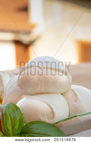 Fresh Soft Italian White Cheese Mozzarella Buffalo, Original From Campania, Paestrum And Foggia Regi