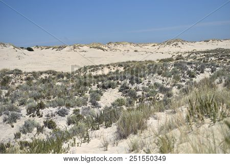 The Coto De Donana National Park In Andalusia, Spain