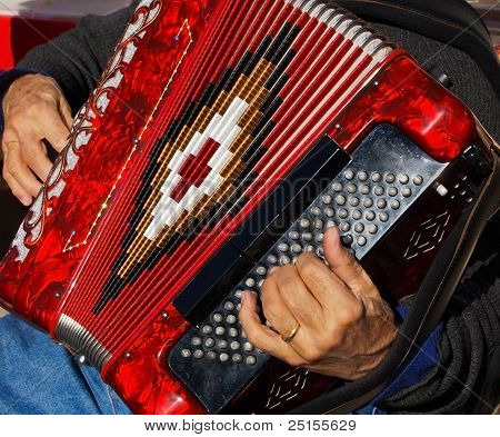 Accordian oyuncu