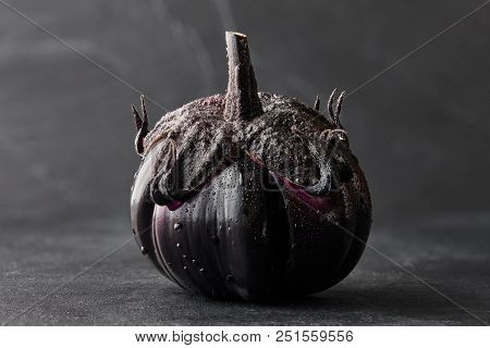 Fresh Italian Type Eggplant Or Aubergine With Water Drops Closeup On Black Background